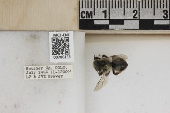 Media type: image;   Entomology 786133 Aspect: Labels